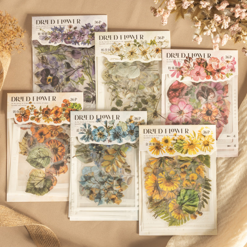 #02169 Dried Flower Series Sticker