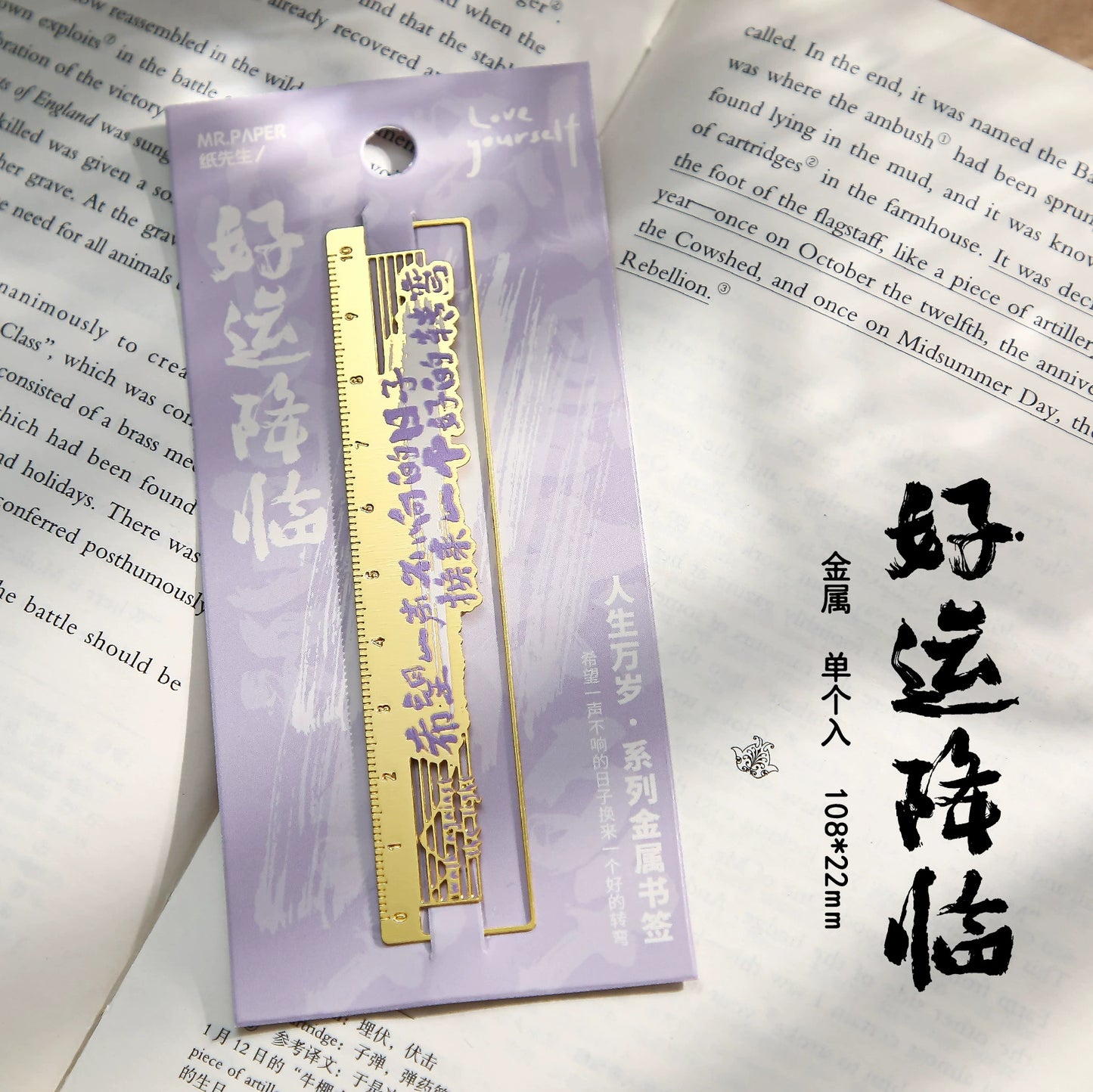#05015 Chinese Literature Ruler