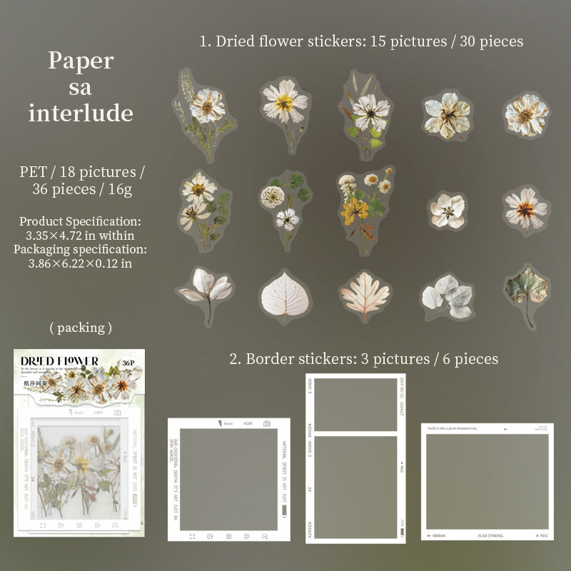 #02169 Dried Flower Series Sticker