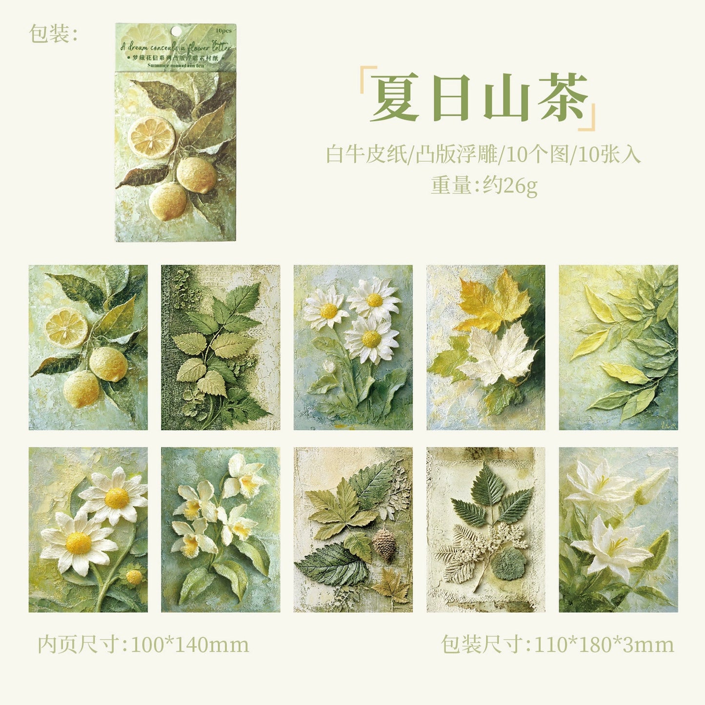 #02842 Embossed Flower Series Paper