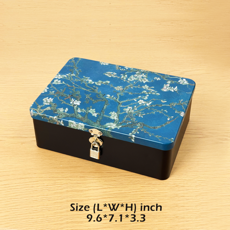#01031 Metal Box with Mini Lock