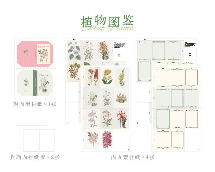 #20208 Collection Stamp Series Sticker