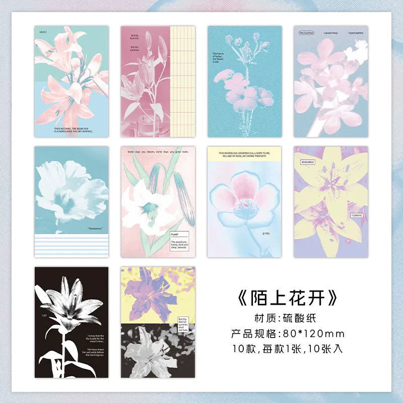#02845 Dreamy Series Paper