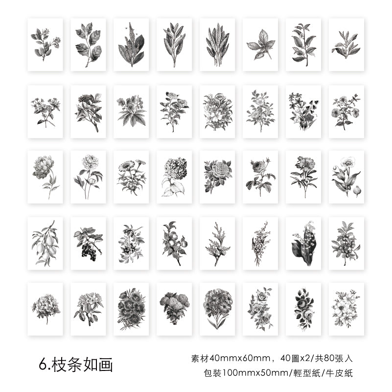 #02311 Old Time Series Sticker