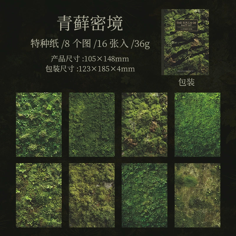 #20278 Touch of Nature Series Paper