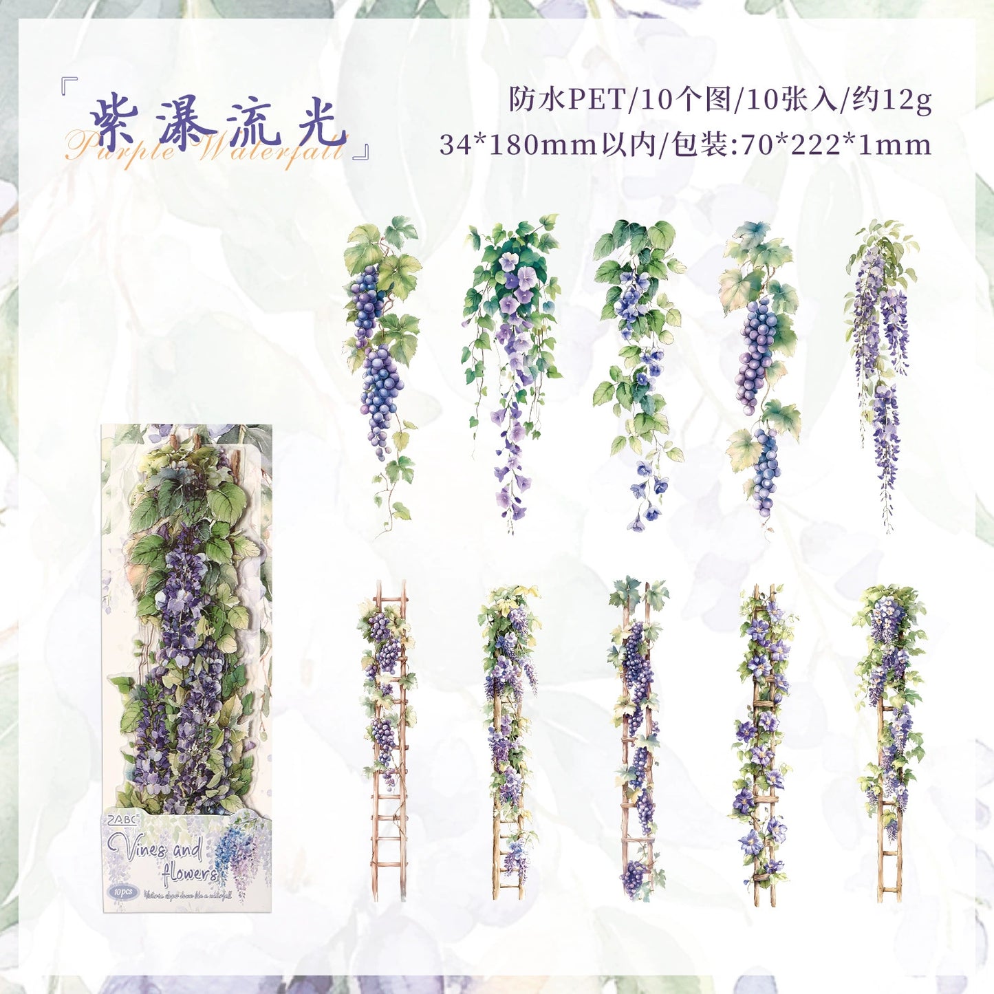 #20250 Flower Strip Series Sticke