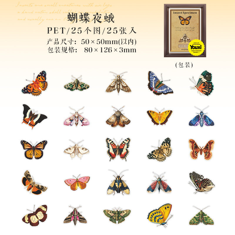 #02937 Insect Collector Series Sticker