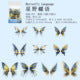 #20232 Butterfly Feather Series Sticker