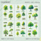#20075 Tree Series Sticker