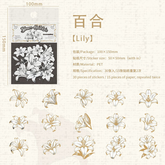 K1#20843 PET Sticker