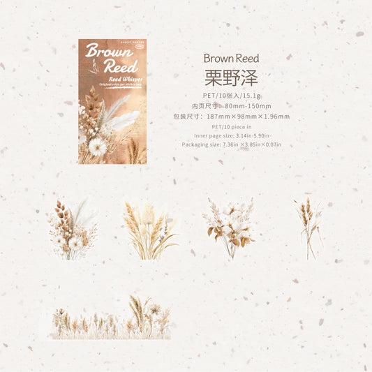 #20281 Reed Series Sticker