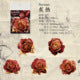 #20237 Mystery Rose Series Sticker