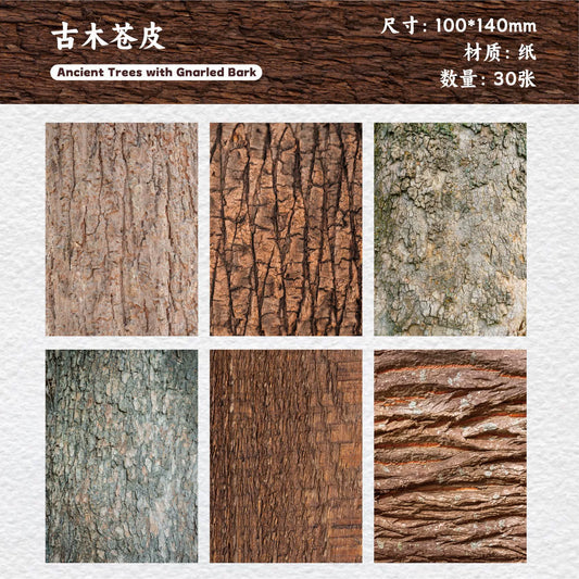 A4#20521 Orginal Series Paper