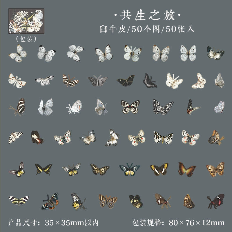 #20358 Butterfly Series Sticker