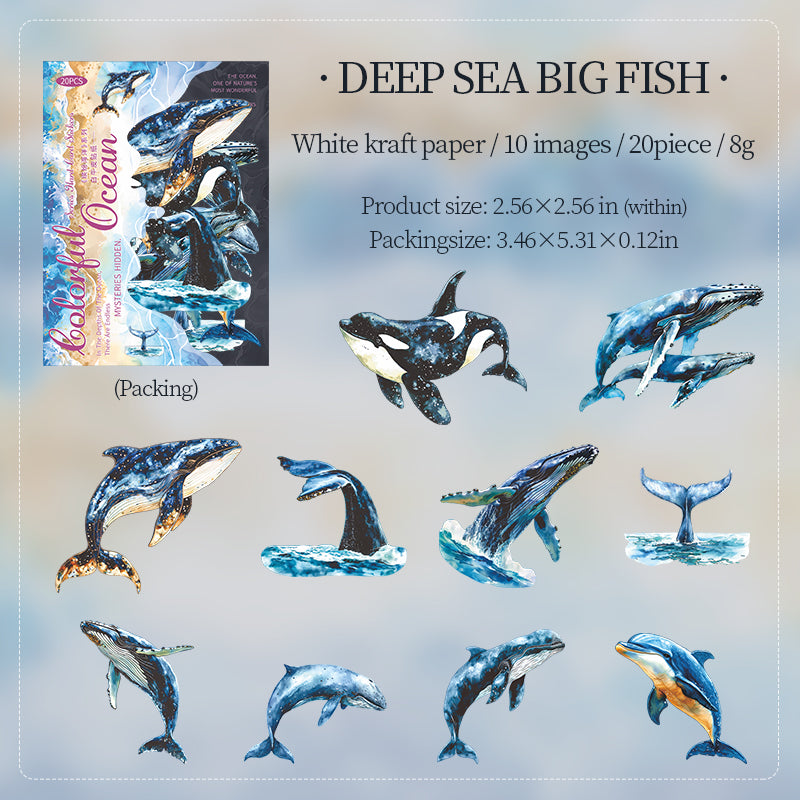 #02534 Wonderful OceanSeries Sticker