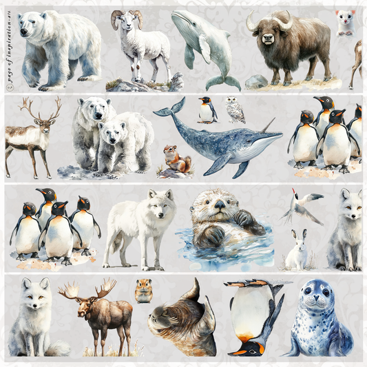#S167 Customized PET Tape Animal