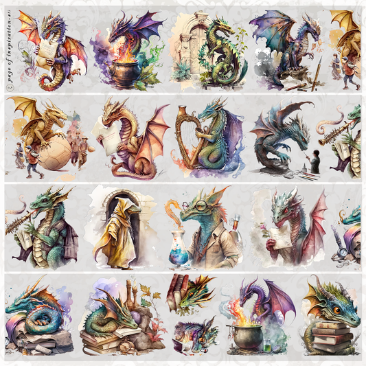 #S172 Customized PET Tape Dragon