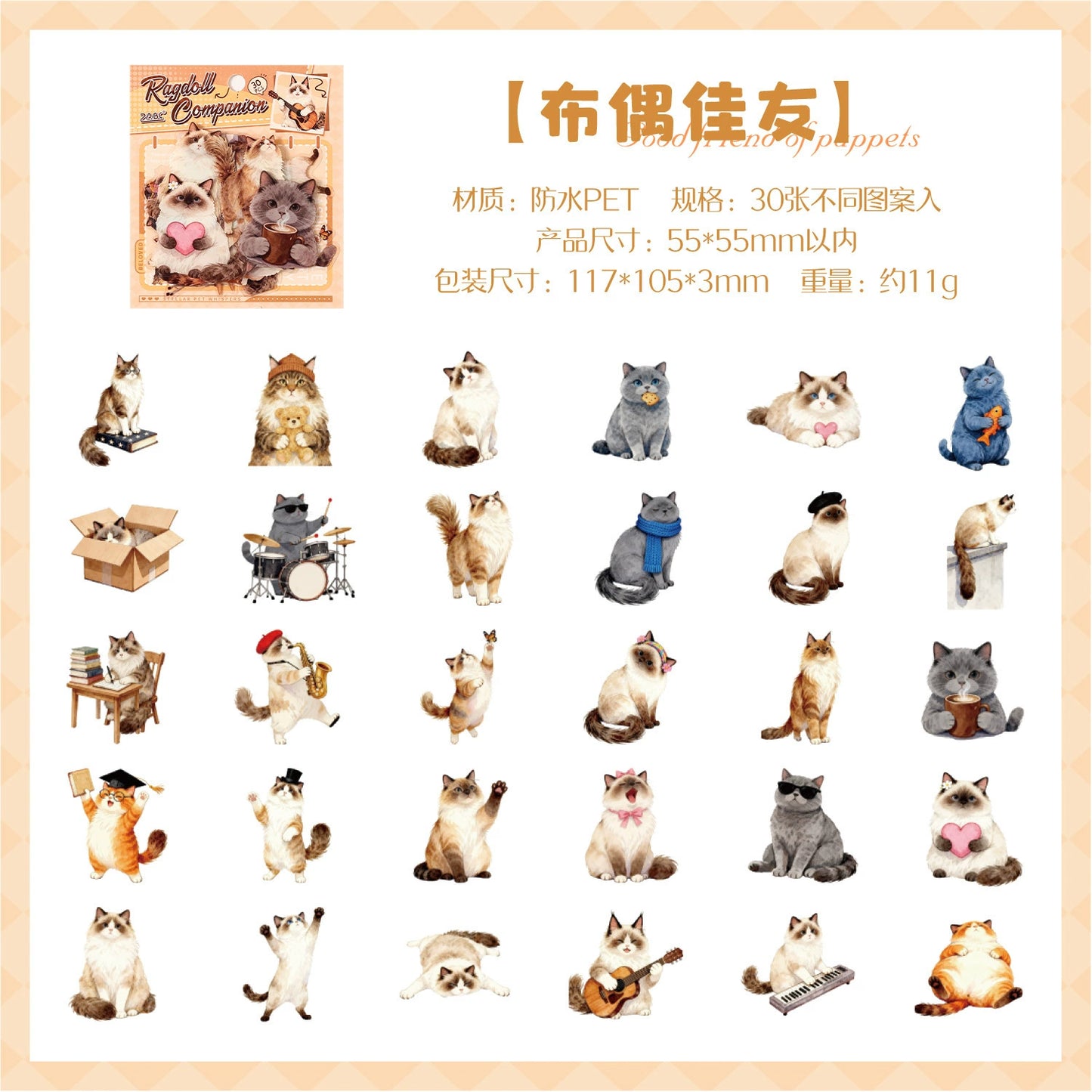 #20626 PET Sticker Pack