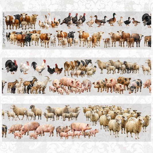 #M205 Customized PET Tape