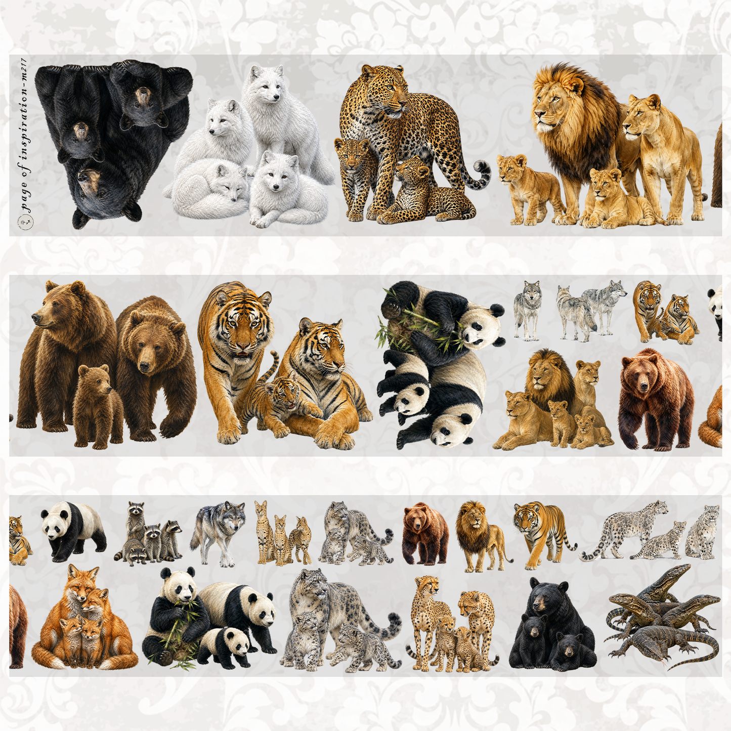 #M217 Customized PET Tape