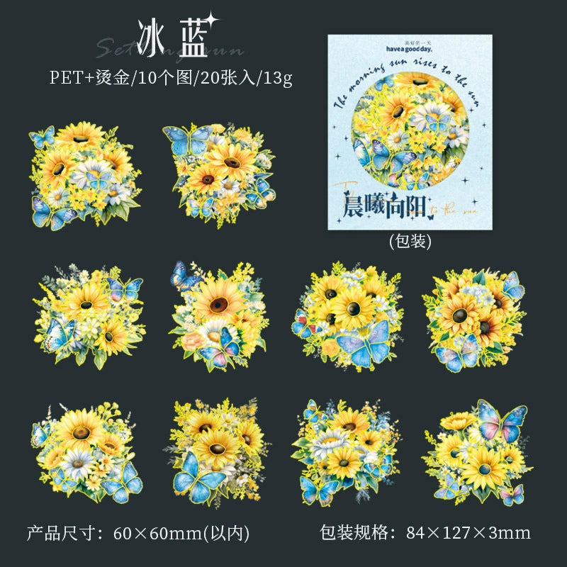 #20666 PET Sticker Pack