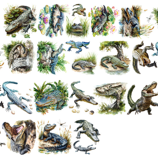 #03255 Customized PET Tape Alligator