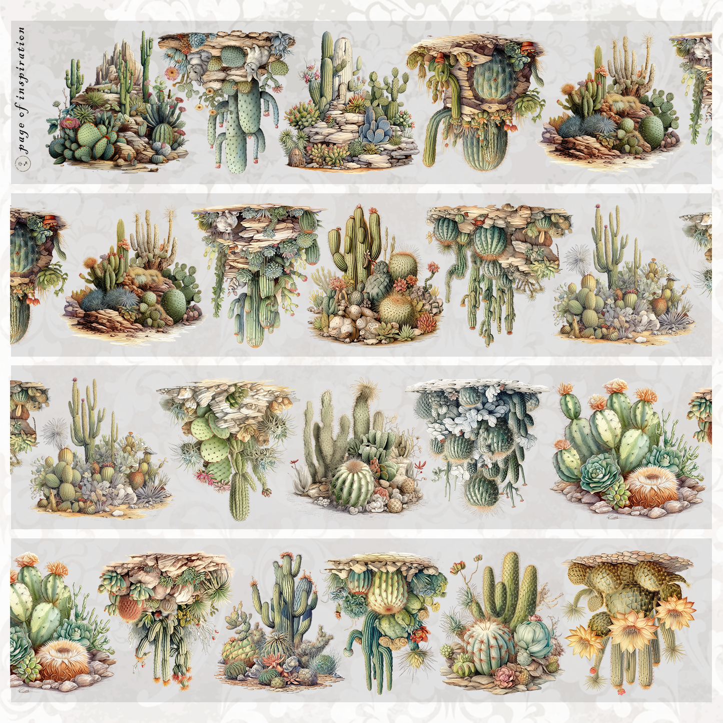#S38 Customized PET Tape Cactus