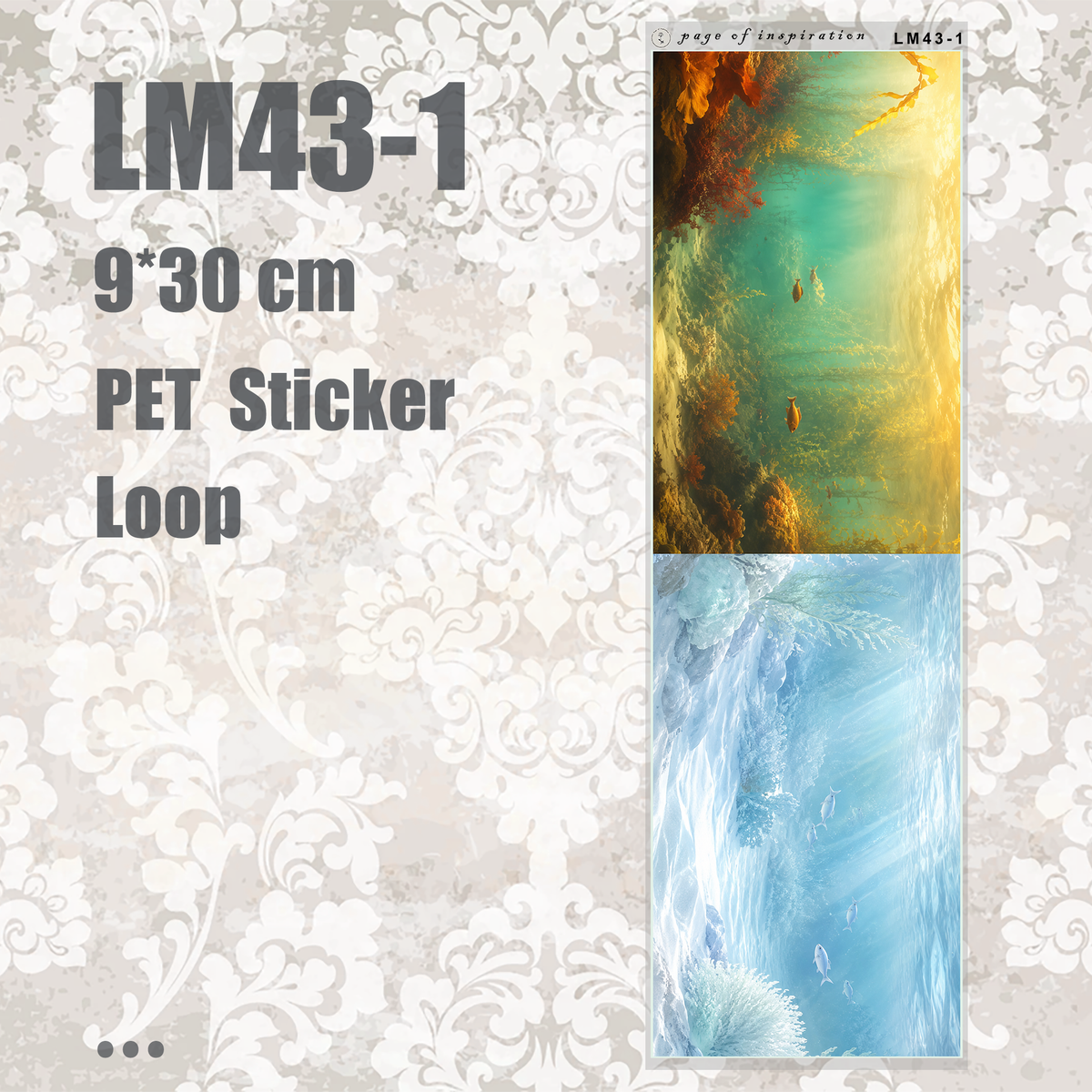 #LM43 M PET Sticker Loop