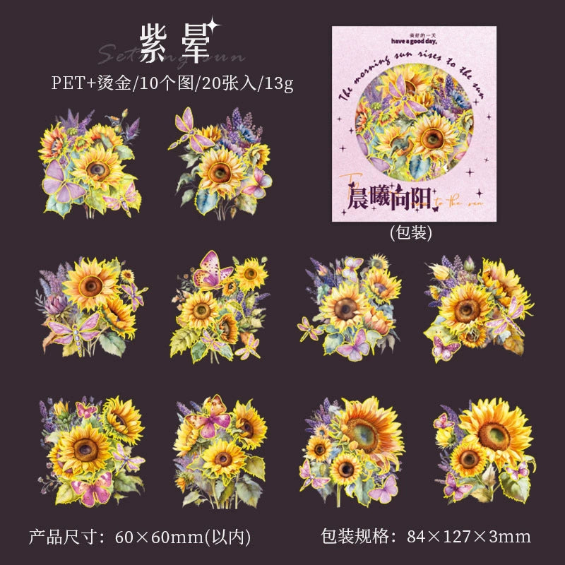 #20666 PET Sticker Pack