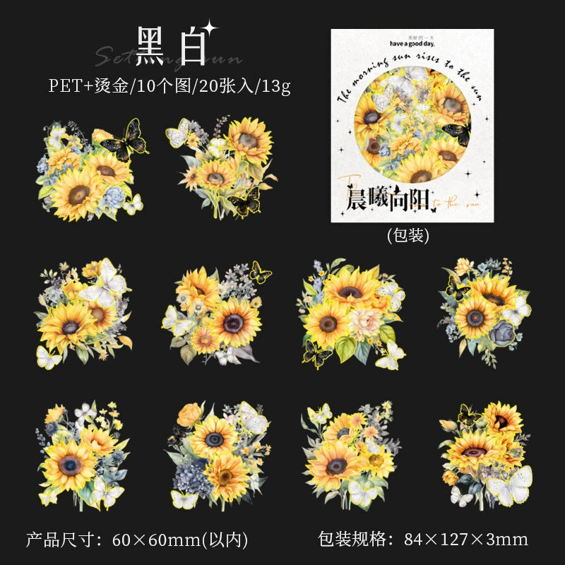 #20666 PET Sticker Pack