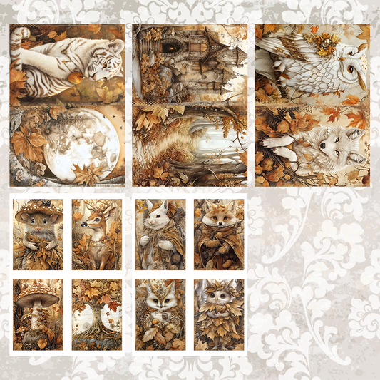 #5A63 POI Print A5 Cardstock Paper Set 10 Pcs