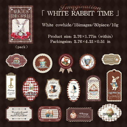 #02043 Alice Time Capsule Sticker