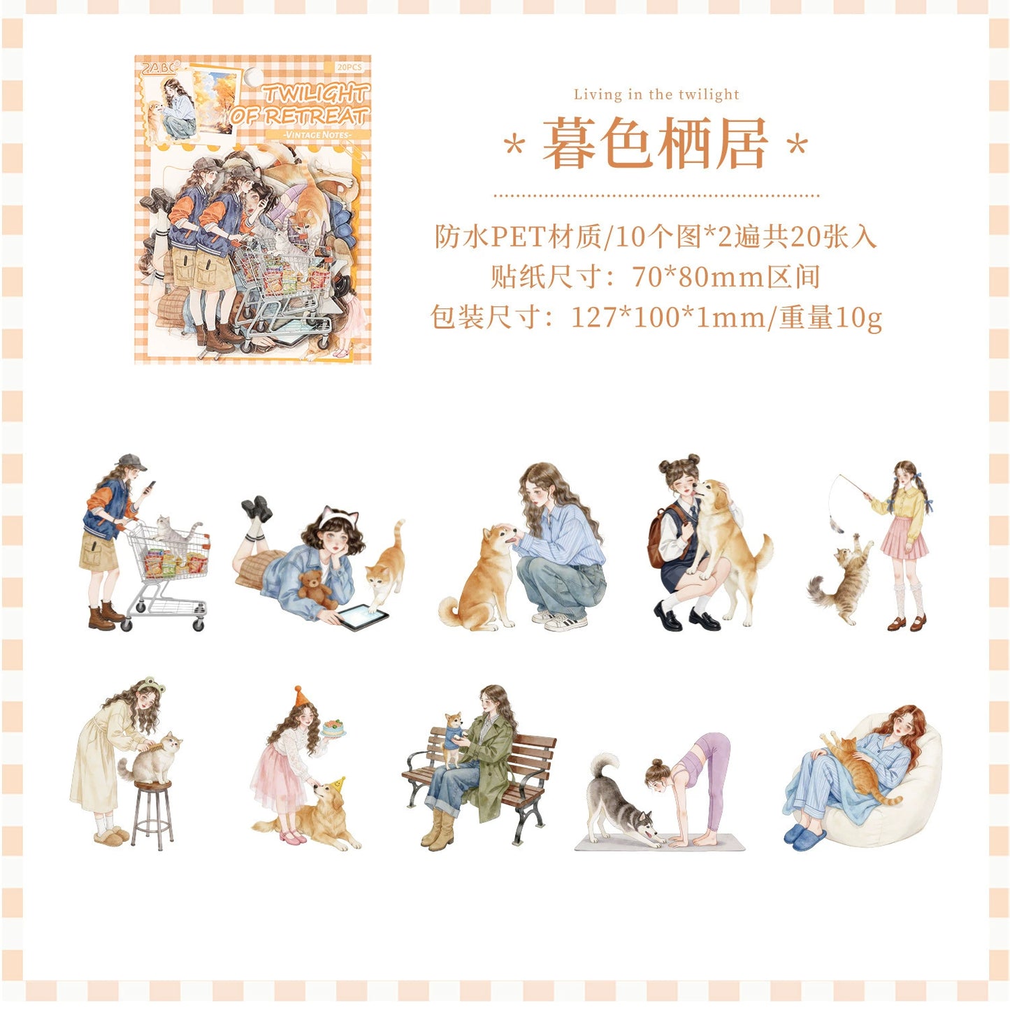 #20655 PET Sticker Pack