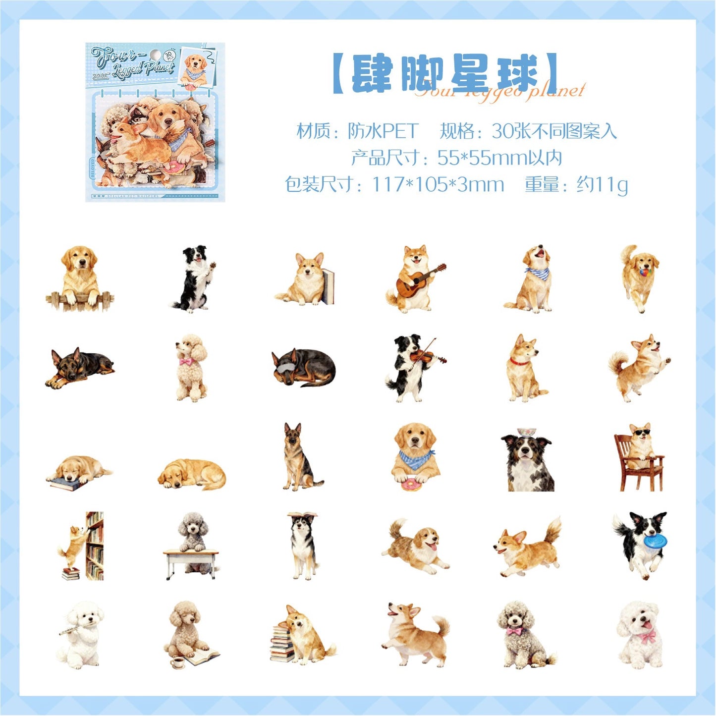 #20626 PET Sticker Pack