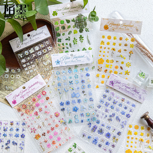 #02717 3D Plant Series Sticker