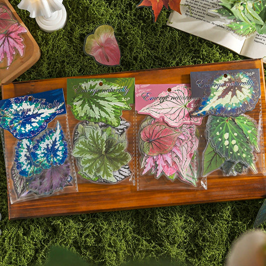#02727 Colorful Leaf Series Sticker