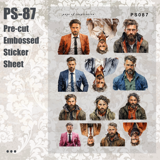 #PS-87 Pre-cut Embossed PET Sticker Sheet