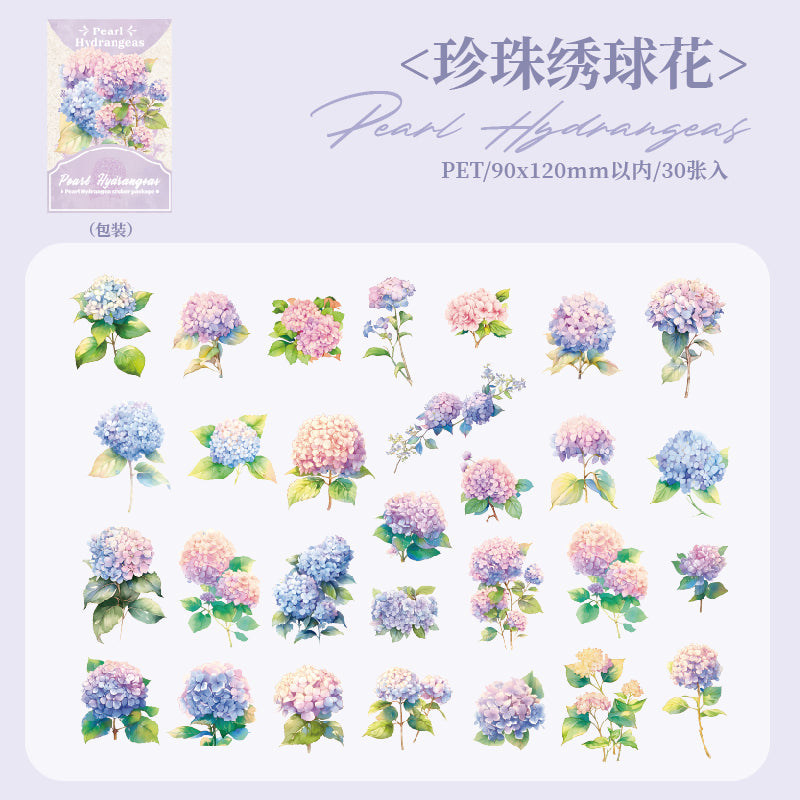 #02147  Summer Rain Forest Series Sticker
