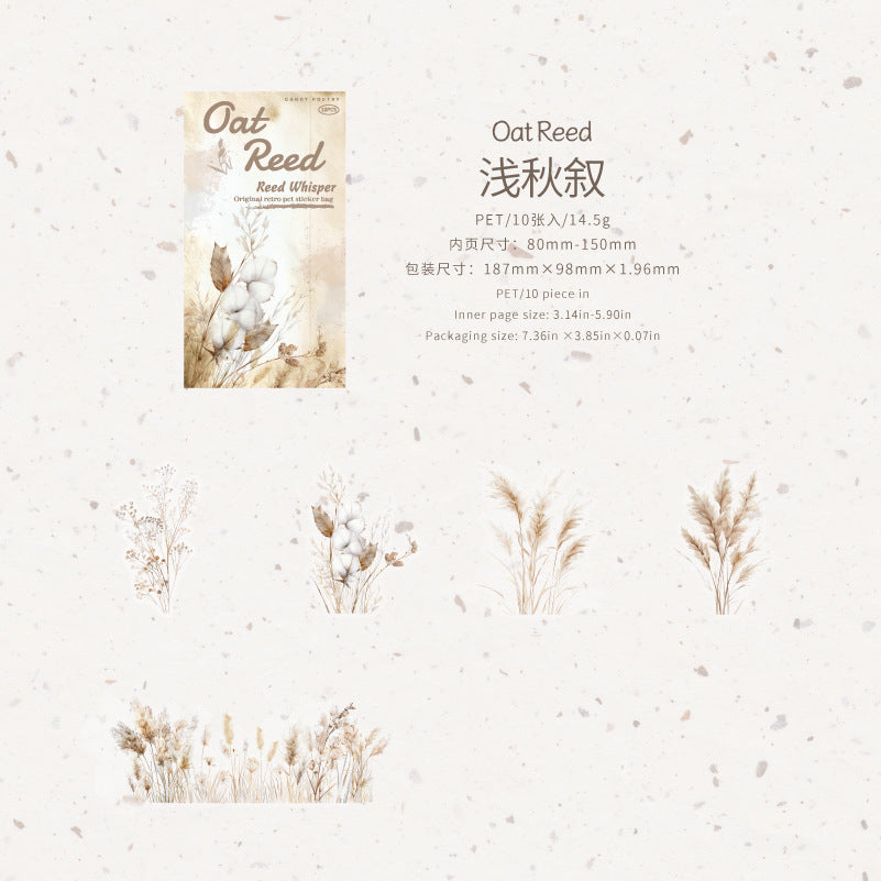 #20281 Reed Series Sticker