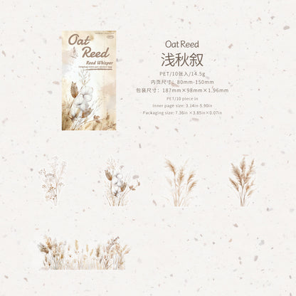 #20281 Reed Series Sticker