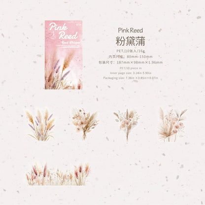 #20281 Reed Series Sticker