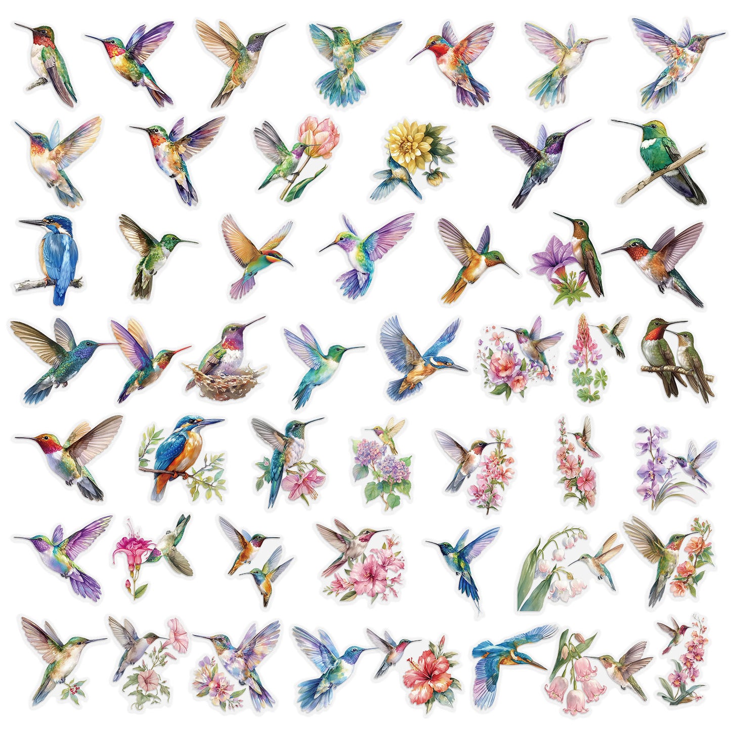 #02281 Brid Series Sticker