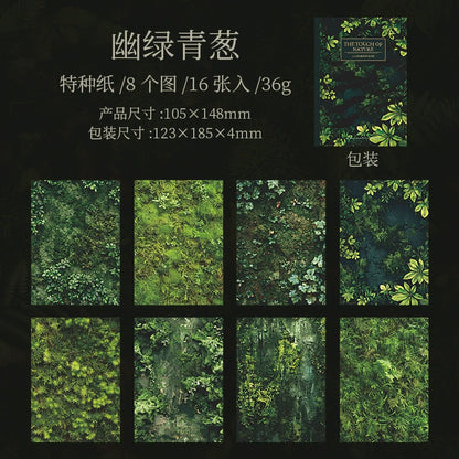 #20278 Touch of Nature Series Paper