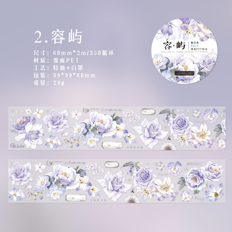 c5#30150 Regular Tape