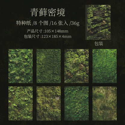 #20278 Touch of Nature Series Paper