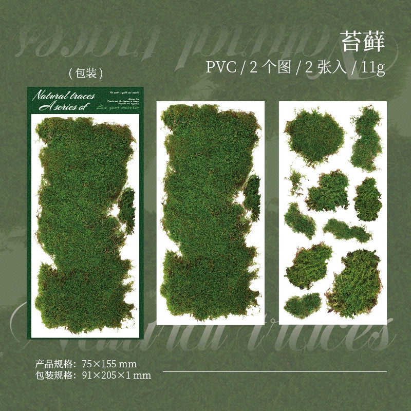 #20279 Greenery Series Transfer Sticker