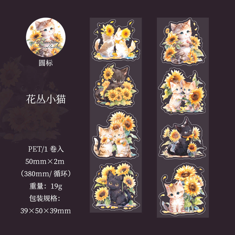 c2#30132 Regular Tape