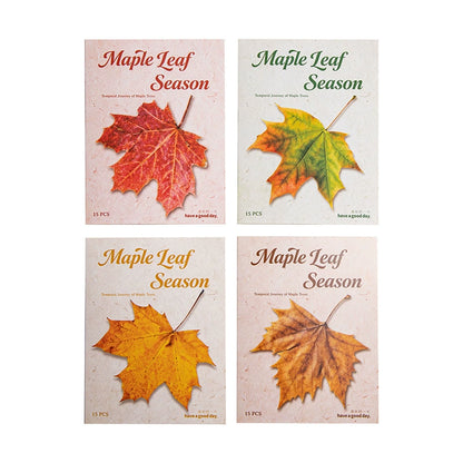 #20270 Leaf Series Sticker