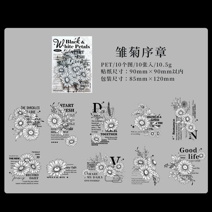 #20824 PET Sticker