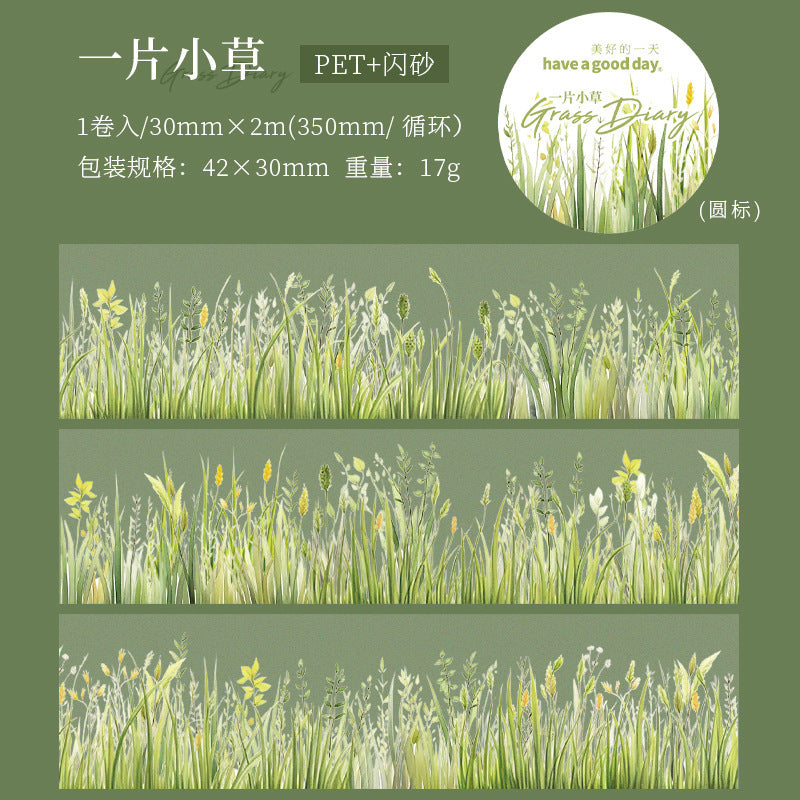 b6#30100 Regular Tape